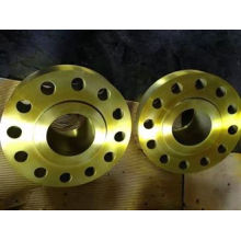 Aluminum Pipe Fittings Forged Flange With Competitive Price